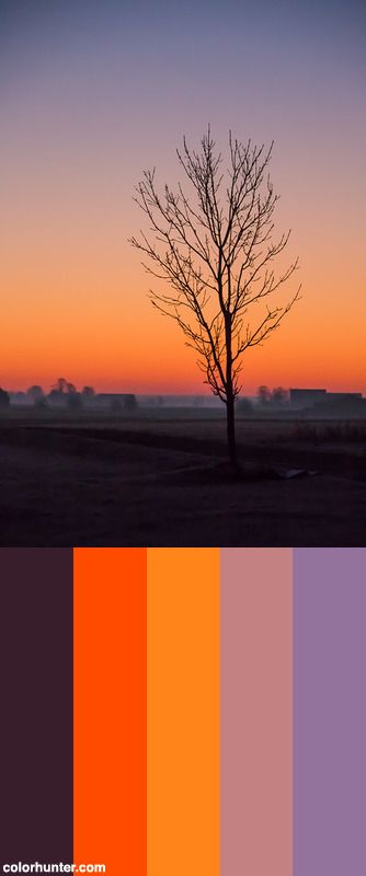 Dawn Color Scheme from colorhunter.com Dawn Color Palette, Movie Wall, Morning Sky, Glow Effect, Minecraft Builds, Bendy And The Ink Machine, Color Chart, Color Palettes, Color Scheme