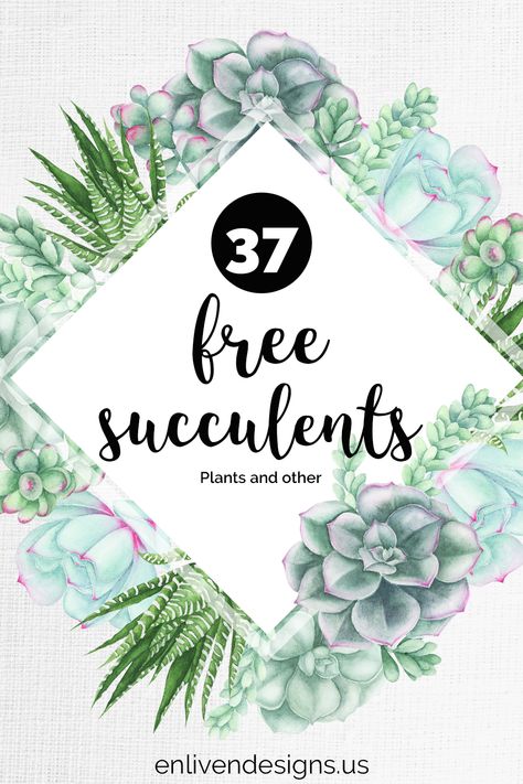 FREE Succulents Botanicals | Enliven Designs Ecse Classroom, Cameo Pro, Succulent Printable, Neutral Classroom, Succulents Illustration, Botanical Printables, Succulent Images, Christmas Fonts Free, Plant Prints