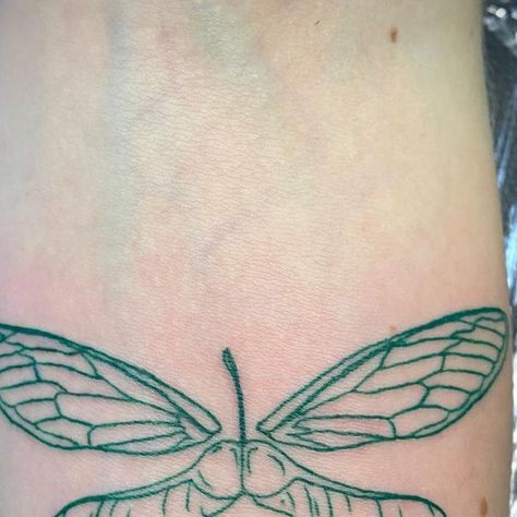 Cicada Wing Tattoo, Maple Seed Tattoo, Seed Tattoo, Maple Seed, Cicada Wings, New York Tattoo, Seed Pod, Sugar Maple, Body Modifications