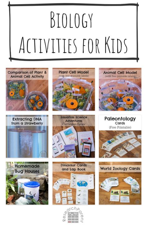 Free tutorials and printable resources for helping kids learn about biology including the fields of paleontology, zoology, DNA and cell biology.  via @researchparent Biology For Kindergarten, Elementary Biology Activities, Zoology Stem Activities, Animal Cell Activity, Bio Student, Evolution Activities, Biology Activities, Biology Ideas, Biology For Kids