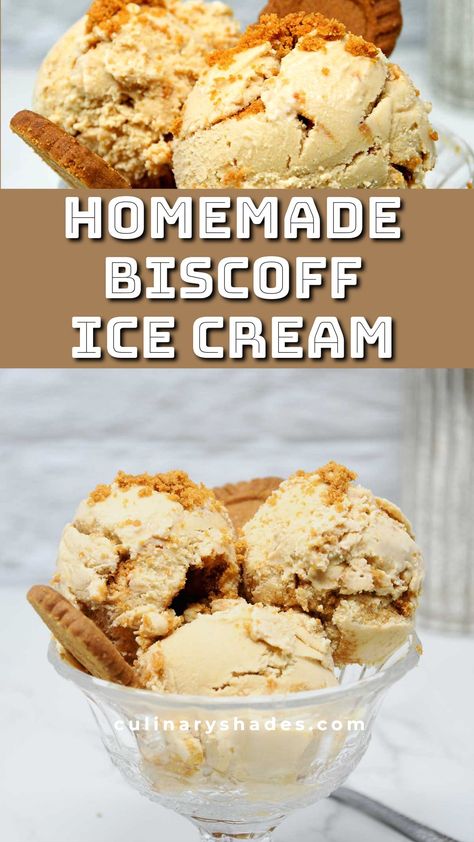 Biscoff ice cream scoops. Savory Ice Cream Recipes, Summer Ice Cream Recipes, Fun Ice Cream Flavors, Creamy Ice Cream Recipe, Home Made Ice Cream Recipes, Homemade Ice Cream Flavors, Eggless Ice Cream, Cuisinart Ice Cream Recipes, Cookie Butter Ice Cream