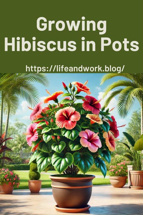 Growing Hibiscus in Pots Hibiscus Container Garden, Hibiscus In Pots, Growing Hibiscus, Hardy Hibiscus, Hibiscus Plant, Peat Moss, Tropical Colors, Growing Indoors, Small Patio