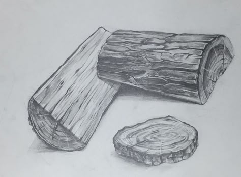 Trees Art Drawing, Log Drawing, Trees Drawing Tutorial, Drawing Scenery, Pencil Drawings For Beginners, Pencil Sketch Images, Texture Drawing, Object Drawing, Architecture Drawing Art