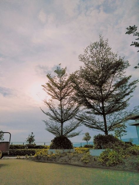 SM Seaside Cebu Sky Park Cebu Aesthetic, Sm Seaside Cebu, Aesthetic View, Birds Eye View, Cebu, Birds Eye, Sunset Photography, Country Roads, Birds