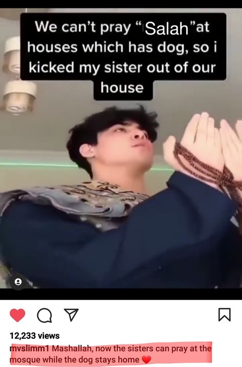 Funny Muslim Memes, Muslim Memes Funny, Islamic Jokes, Arab Jokes, Muslim Jokes, Halal Jokes, Halal Mode, Muslim Meme, Muslim Memes