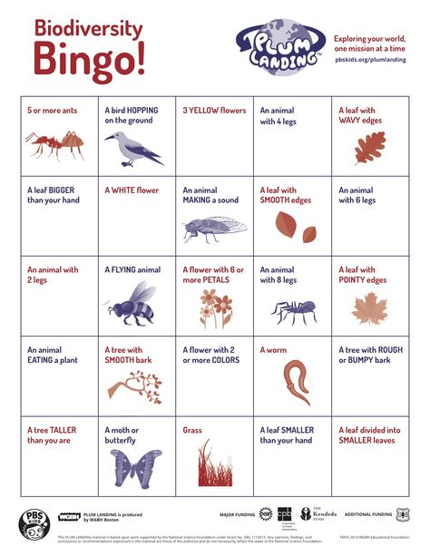 Classroom activity: Biodiversity Bingo Ecosystems Activities, Ecosystem Lab Activities, Biodiversity Activities, Grade 6 Biodiversity Project, Biodiversity Lessons, Grade 6 Biodiversity Activities, Teaching Ecosystems, Ap Environmental Science, 7th Grade Science