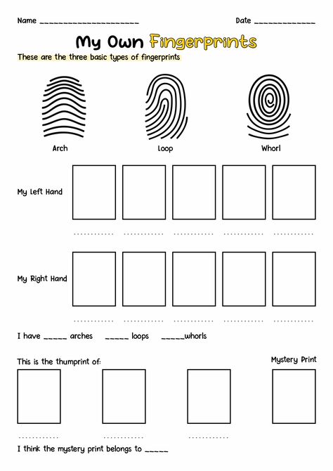 Fingerprint Stem Activity, Fun Activity Sheets For Middle School, Elementary Science Worksheets, Science Club Ideas, Spy Camp Activities For Kids, Kids Detective Activities, Easy Science Activities For Kids, Fingerprint Activities For Kids, Finger Print Activity For Kids