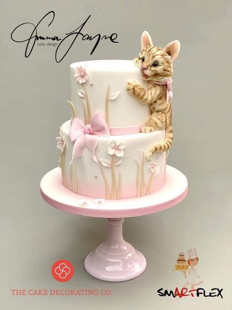 Kitten Cake, Birthday Cake For Cat, Baby First Birthday Cake, Amazing Desserts, Emma Jane, Animal Cakes, Gateaux Cake, Baby Birthday Cakes, Cat Cake