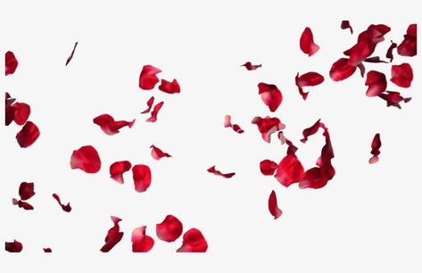 Falling Roses Tattoo, Rose Falling, Photoshop Transparent, Flower Falling, Falling Roses, Birthday Edits, Rose Petals Falling, Rose Petal Candle, Petals Falling