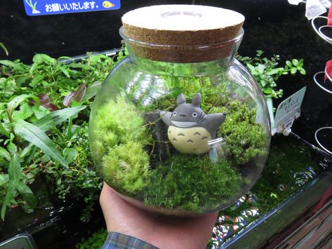 2018-01-31 Studio Ghibli Room, Totoro Terrarium, Ghibli Room, Butterfly Room, Ghibli Movies, Spring Aesthetic, Art Style Inspiration, Studio Ghibli, Clay Crafts