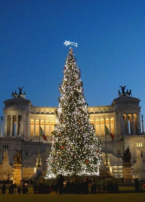 Italy In Christmas, Rome Christmas Aesthetic, Italy Christmas Aesthetic, Christmas In Italy Aesthetic, Venice Christmas, Rome Christmas, Christmas Italy, Huge Christmas Tree, Rome In December