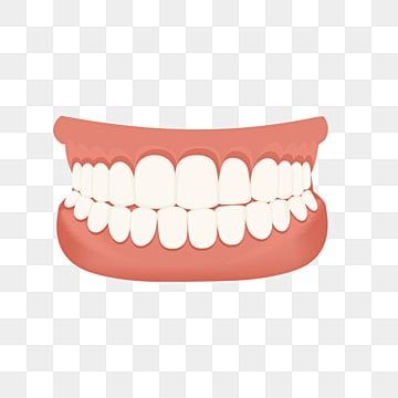 kedokteran gigi,gigi tiruan,gigi,orthodonsi,model,prostesis Dental Dentures, Logo Dental, Dental Clinic Logo, Kedokteran Gigi, Clinic Logo, Free Logo Templates, Dental Cosmetics, Dentures, Cosmetic Dentistry