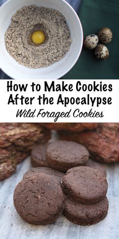 How to Make Cookies After the Apocalypse ~ Wild Foraged Cookie Recipes