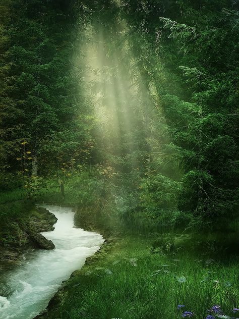 APHRODISIAC ART — lori-rocks: where magic lives… by moonchild-lj Forest Glade, Forest Backdrops, Spring Forest, Forest Pictures, Fantasy Forest, Deep Forest, Forest River, Photography Backdrops, Photography Backdrop