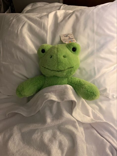 Bab Frogs, Frog Aesthetic, Frog Plushie, Awesome Possum, Fleece Tie Blankets, Frog Pictures, Decoration Aesthetic, Cute Squishies, Taking A Nap