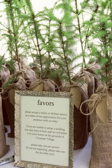 tree seedlings in burlap bags as wedding favors (Whole Heart Photography) Tree Wedding Favors, Plant Wedding Favors, Succulent Wedding Centerpieces, Tree Seedlings, Diy Party Favors, Woodsy Wedding, Diy Bride, Burlap Bags, Eco Wedding