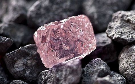 A 12.76 carat pink diamond, the largest of the rare and precious stones ever found in Australia, has been named the Argyle Pink Jubilee Argyle Pink Diamonds, Pink Diamonds, Pretty Rocks, Pink Gem, Mineral Stone, Minerals And Gemstones, Rocks And Gems, Rough Diamond, Precious Gems