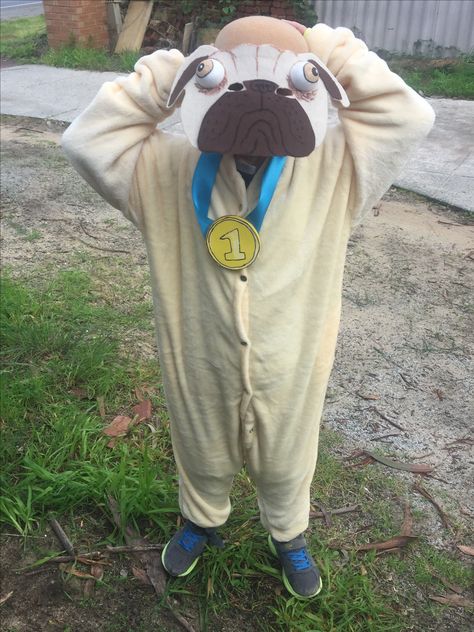 Pig The Winner Pig The Pug Costume, Pig The Pug Costume Book Week, Babies Room Childcare Ideas, Pig The Pug, Pug Costume, Book Week Costumes, Childcare Ideas, Pugs In Costume, Book Costumes