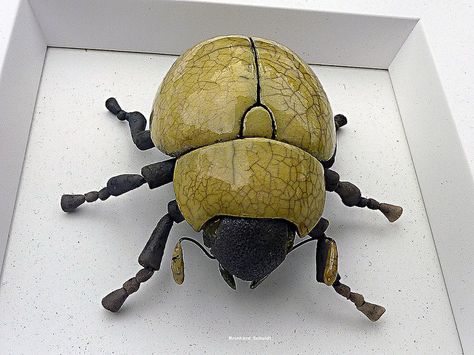 Exactly what I was wanting to make! Looks just like my lovely beetle from Arizona! Hmmm... Raku? Ceramic Insects, Ceramic Beetle, Pottery Animals, Bug Art, Cerámica Ideas, Sculptures Céramiques, Ceramic Techniques, Insect Art, A Bug