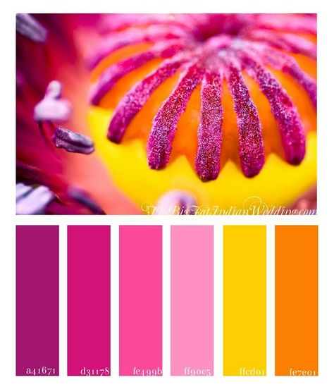 Bright Wedding Colors, Wedding Colors Purple, Color Schemes Colour Palettes, Pink Palette, Color Palette Pink, Color Palate, Color Palette Design, Color Inspo, Colour Board