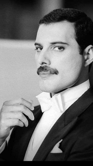 Queen Songs, Freddie Mercury Quotes, Freddie My Love, Rock & Roll, King Of Queens, Freddy Mercury, Queen Photos, Roger Taylor, We Will Rock You