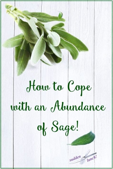 Sage Ideas, Freeze Herbs, Preserve Fresh Herbs, Dry Sage, Sage And Onion Stuffing, Growing Sage, Flower Recipes, Sage Recipes, Sage Herb