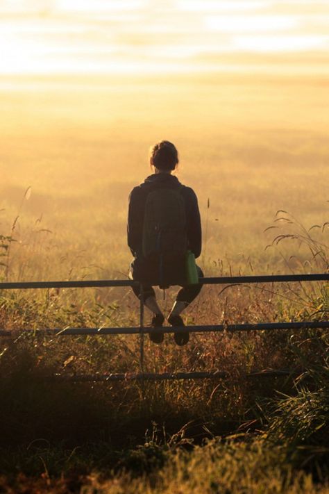 As the Self is all-pervasive, it has no particular place for solitude. The state of being free from mental concepts is called dwelling in solitude.      — Ramana Maharshi Fields Of Gold, Quiet Moments, 인물 사진, Country Life, Farm Life, Country Girls, Fence, In This Moment, Feelings