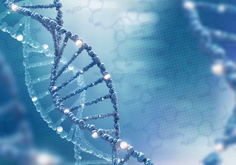 New Post: Centogene Launches 2-Year Global ROPAD Study to Assess the Genetics of Parkinson’s Disease https://parkinsonsnewstoday.com/2019/05/14/centogene-lauches-global-ropad-study-assess-genetics-in-parkinsons Gene Therapy, Genetic Mutation, Genetic Testing, Personality Disorder, Autoimmune Disease, Anthropology, Disease, Health, Blue