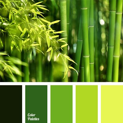 bright salad green, bright yellow-green color, color selection, color solution… Bamboo Wall Decor, In Color Balance, Flat Bedroom, Monochrome Color Palette, Color Palette Ideas, Warm Palette, Palette Ideas, Color Chip, Green Colour Palette