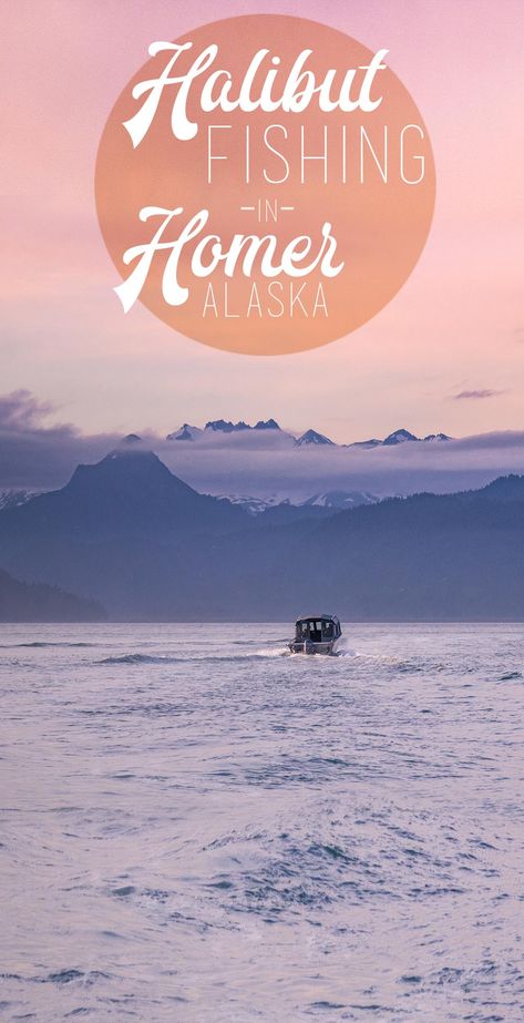 Our Summer Halibut fishing trip in Homer Alaska | Getting Stamped Alaska Salmon Fishing, Halibut Fishing, Homer Alaska, Alaska Fishing, Breathtaking Scenery, Salmon Fishing, Alaska Travel, Usa Travel Destinations, Best Fishing