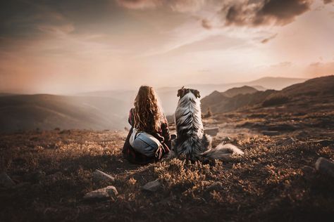 50 Of The Best Dog Photos I've Ever Taken Dog Owner Photoshoot, Pet Photography Poses, Dog Photoshoot Pet Photography, Dog Portrait Photography, Dogs Photography, Best Dog Photos, Photos With Dog, Dog Photoshoot, Dog Photograph