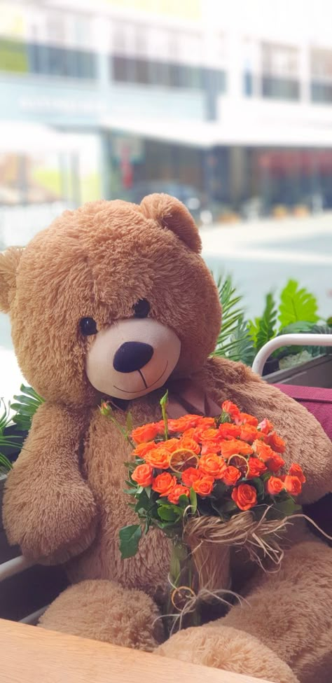 Taddy Teddy Love, Cute Teddy Bear Pics, Cute Wallpapers For Android, Chocolate Valentine, Teddy Pictures, Birthday Gift For Sister, Cute Backgrounds For Iphone, Red Roses Wallpaper, Teddy Bear Wallpaper