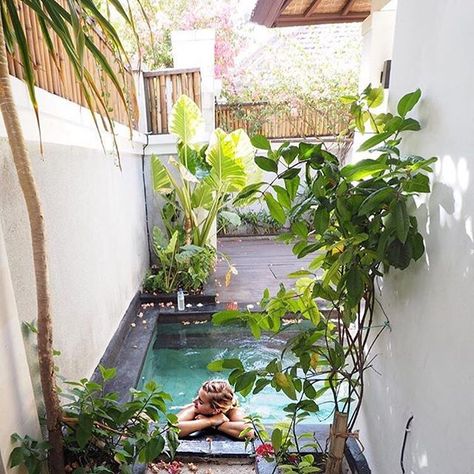 Gili T, Pool Landscape Design, Small Pool Design, Tropical Pool, Small Pools, House Exterior Design, Dream Pools, Backyard Pool Designs, Swimming Pools Backyard