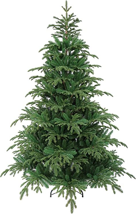 Christmas Tree 6ft, Fraser Fir Christmas Tree, 6ft Christmas Tree, Fraser Fir, Fir Christmas Tree, Fir Tree, Tree Lighting, Holiday Tree, Xmas Tree