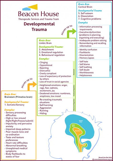 The Repair of Early Trauma: A “Bottom Up” Approach | Chosen Care Bessel Van Der Kolk, Nervus Vagus, Co-parenting, Psychology Memes, Beacon House, Therapy Business, Communication Activities, Psychology Notes, Psychology Studies