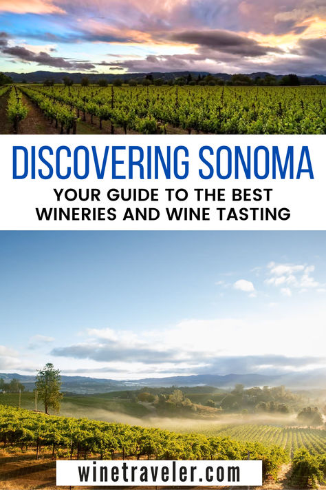 Embark on a remarkable wine journey through Sonoma Valley! This guide will lead you to the best wineries in Sonoma, recommend exclusive wine tours, sought-after restaurants, and cozy hotels. Unearth the wealth of grape variants, soak in the beautiful landscapes, and immerse in the unique Sonoma lifestyle. Your unforgettable wine escapade is in here! Sonoma And Napa Itinerary, Best Wineries In Sonoma, Wine Tasting Guide, Sonoma Wine Tours, Sonoma County Wineries, Best Napa Valley Wine Tours, Sonoma Wineries, Sonoma Wine Country, Wine Tourism