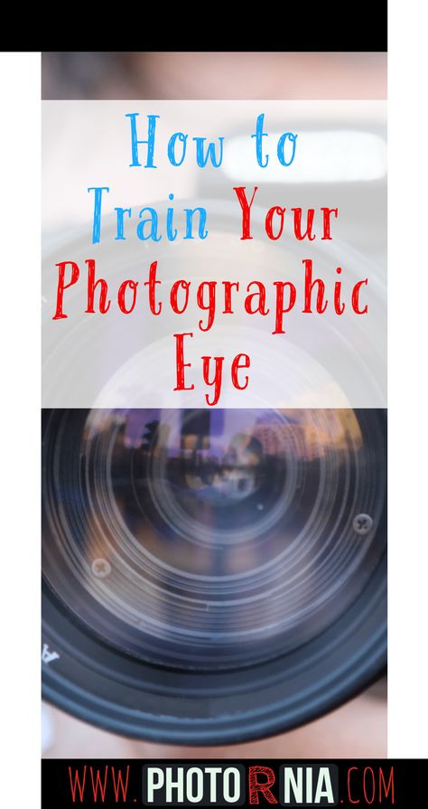 Photography Knowledge, Being A Photographer, Photography For Beginners Sony, Camera Learning Photography Tips, Best Lens For Indoor Photography, Which Camera Is Best For Photography, Beginner Photography Camera, Improve Photography, Morning Photography