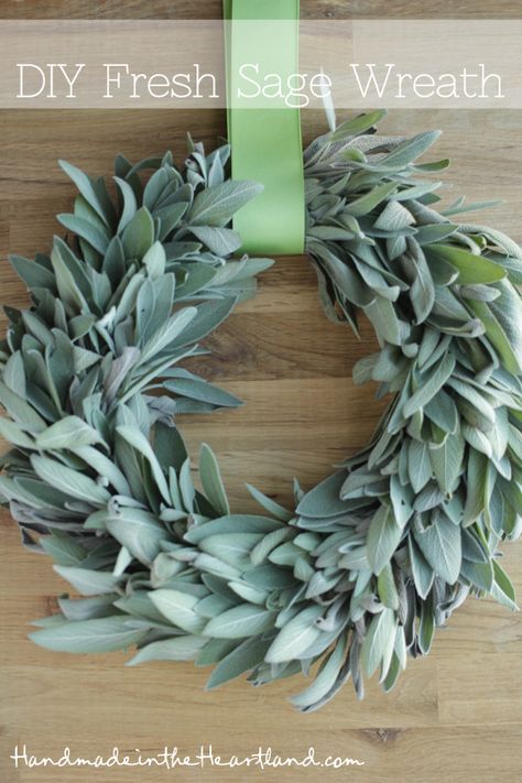 Sage Wreath, Natal Natural, Herb Wreath, Sage Plant, Fresh Sage, Fall Months, Diy Fall Wreath, Christmas Wreaths Diy, Cool Diy Projects