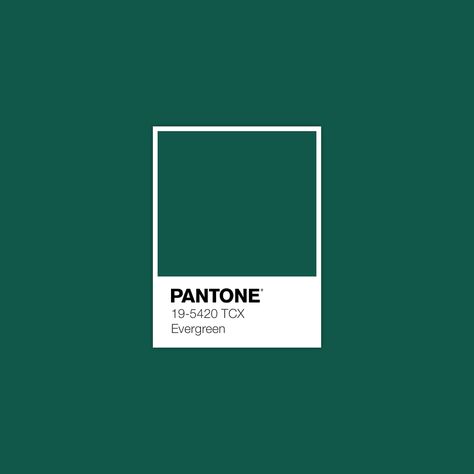 Evergreen swatch Color Palette For Home, Burgundy Room, Pantone Green, Color Of The Week, Pantone Palette, Pantone Colour Palettes, Style Deco, Color Inspo, Colour Board