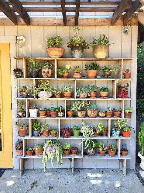 Blooming Succulents, Vegetable Garden Planner, Garden Paradise, Diy Hanging Planter, Planter Project, Succulent Garden Diy, Balcony Plants, Garden Crafts Diy, Outdoor Decor Backyard