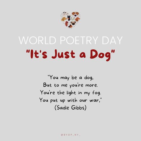 Beautiful poem about a dog's unconditional love by Sadie Gibbs 🤍🐾🐶 Remember to give your pup an extra treat today! #dogpoem #dogslove #poem #worldpoetryday #lovedogs Dog Poems Love, Dog Poems Happy, Poetry About Dogs, Poem About Dogs Love, Just A Dog Poem, Ode To My Dog Poem, Dog Love Quotes Unconditional, God Made A Dog Poem, Poems About Loosing Your Dog