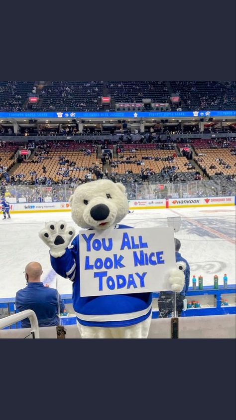 Carlton The Bear, Nhl Mascots, Maple Leafs Wallpaper, Swamp Rabbit, Crafts To Do When Your Bored, Auston Matthews, Nhl Teams, Maple Leafs Hockey, Hockey Humor