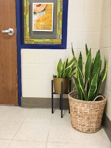 14 Nature-Themed Classroom Ideas To Inspire Your Decor Classrooms With No Windows, Classroom No Windows, No Window Classroom Ideas, No Window Office Decor, Office No Windows Ideas, Office With No Windows Ideas, Plants In Classroom, Classroom Window Ideas, Dark Classroom