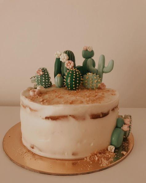 Desert Theme Birthday Cake, Desert Cake Design, Wedding Cake Cactus, Boho Cactus Cake, Desert Birthday Cake, Cactus Cake Design, Desert Themed Cake, Cactus Decorations Party, Desert Cake Theme