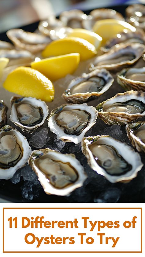 A close-up of different types of oysters displayed on a platter, featuring Kumamoto, Blue Point, and Pacific varieties with lemon wedges and ice. Types Of Oysters, Oyster Recipes, Fresh Oysters, Blue Point, Kumamoto, Coast To Coast, Different Types, Seafood, Blue