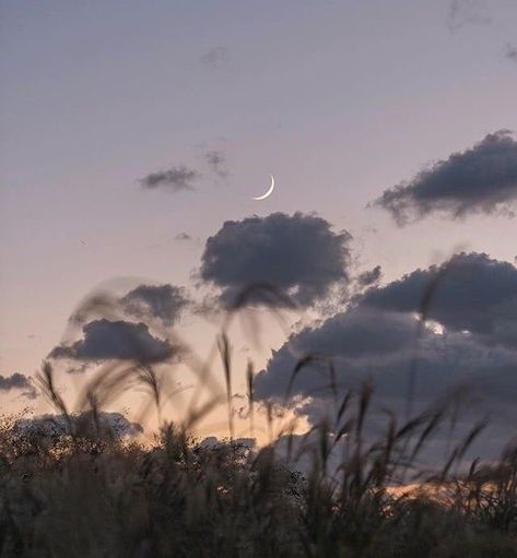 Mary Mary, Into The Wild, Trik Fotografi, Nature Aesthetic, Pretty Places, Sky Aesthetic, Aesthetic Photo, Aesthetic Photography, Half Moon