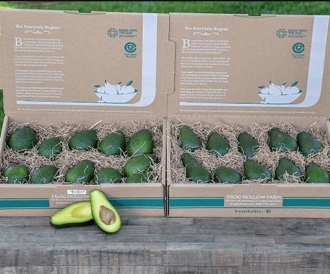 Avocado Packaging, Mango Packaging, Avocado Varieties, Avocado Nutrition, Fruit Delivery, Food Subscription Box, Butter Substitute, Lower Ldl Cholesterol, Roasted Pecans