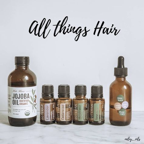 doTERRA oils 🌿 Julia on Instagram: “If you watched my live a few days ago, I shared my favorite hair blend and tips!  I get asked questions about what oils to use to help hair…” Doterra Hair, Doterra Blends, Doterra Recipes, Doterra Essential Oils Recipes, Hair Cleanse, My Live, Oil Mix, Doterra Oils, Doterra Essential Oils