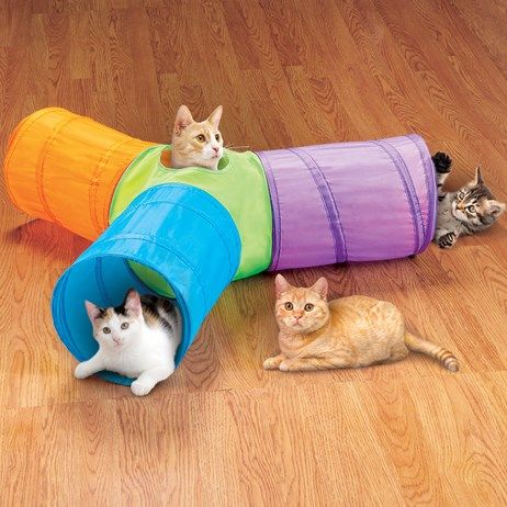 Cat Tunnel Outdoor, Outdoor Cat Tunnel, Under Christmas Tree, Diy Cat Enclosure, Cat Habitat, Pet Station, Cat Essentials, Cat Info, Pet Sofa