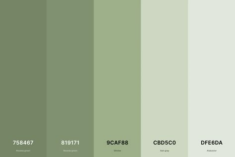 Sage Green Pantone Colour Palettes, Soft Green Color Palette, Hex Green, Green Hex Code, Color Palettes With Names, Sage Color Palette, Green Color Palettes, Soft Green Color, Green Color Palette